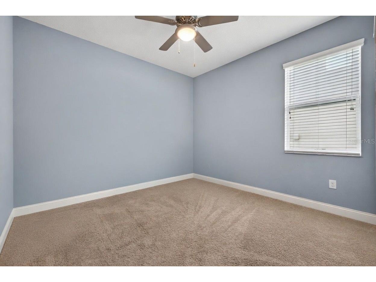 27225 Sora Boulevard Wesley Chapel FL 33544 TB8512895 image22