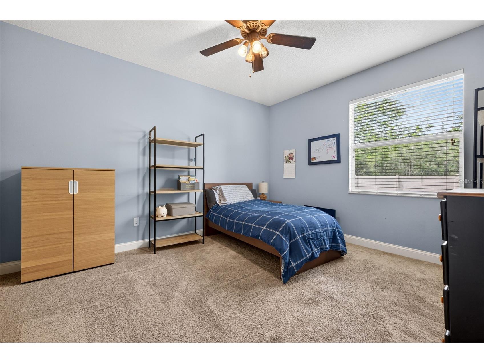 27225 Sora Boulevard Wesley Chapel FL 33544 TB8512895 image23