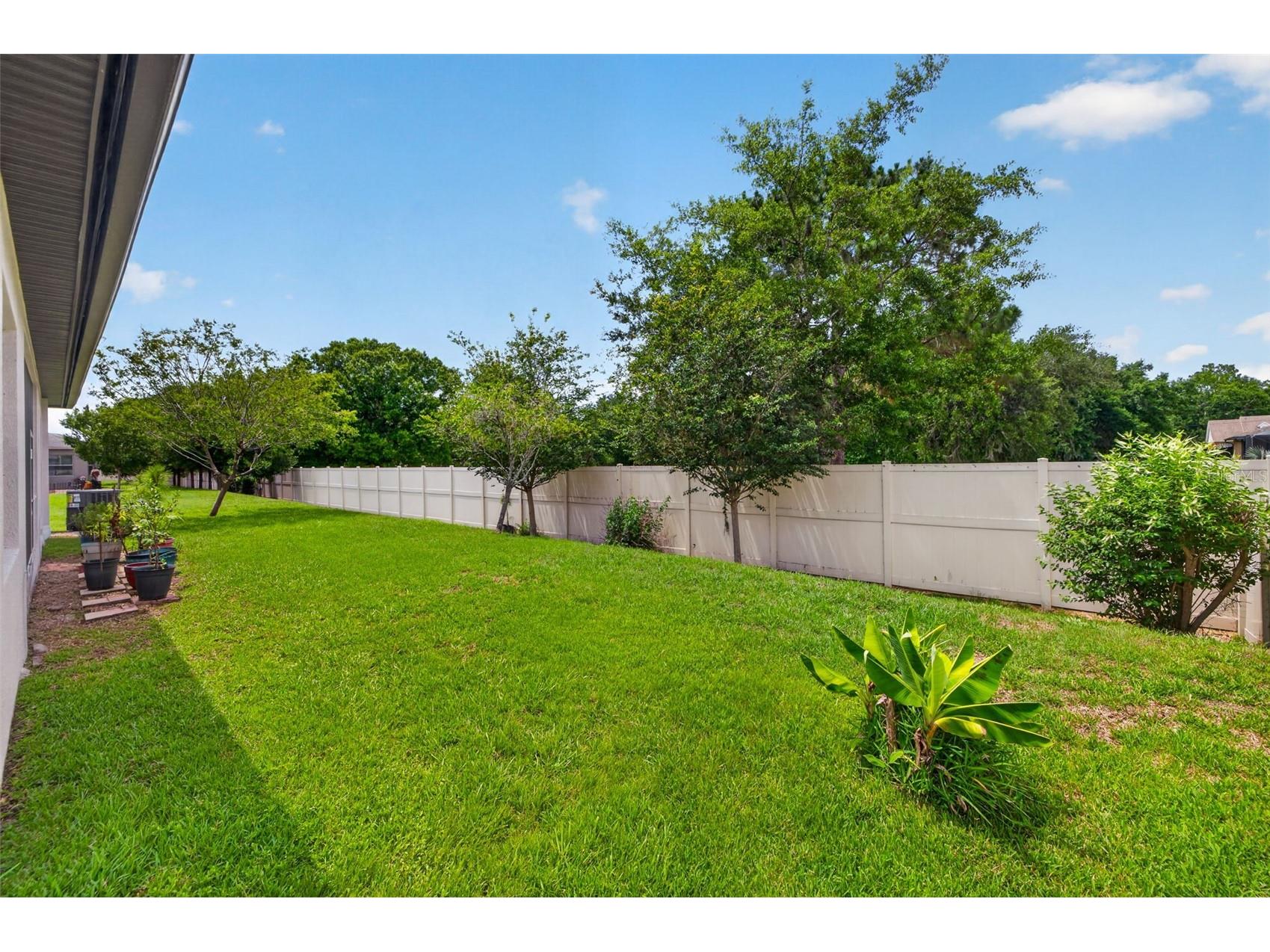 27225 Sora Boulevard Wesley Chapel FL 33544 TB8512895 image32