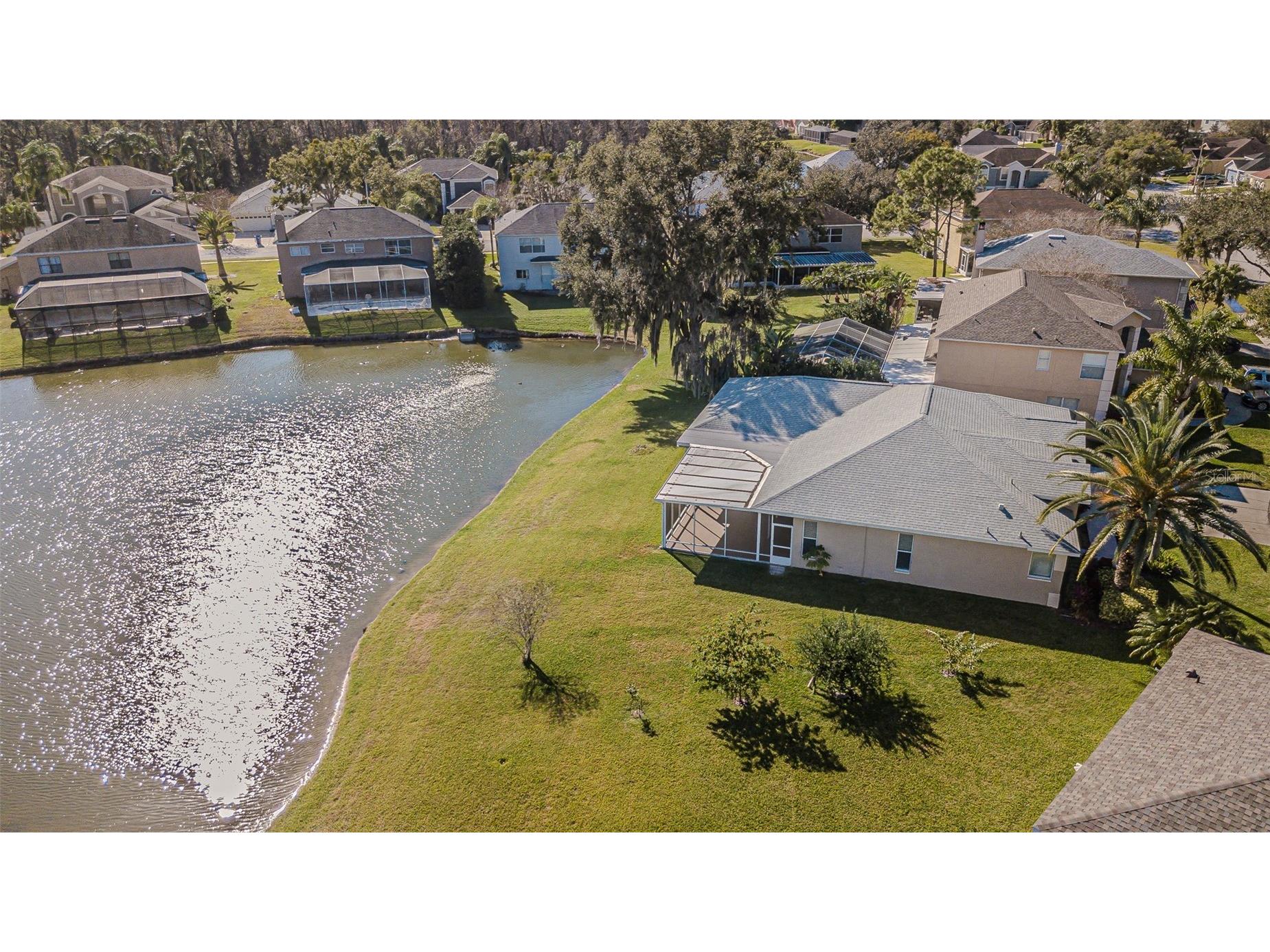 27226 Sea Breeze Way Wesley Chapel FL 33544 TB8511815 image11