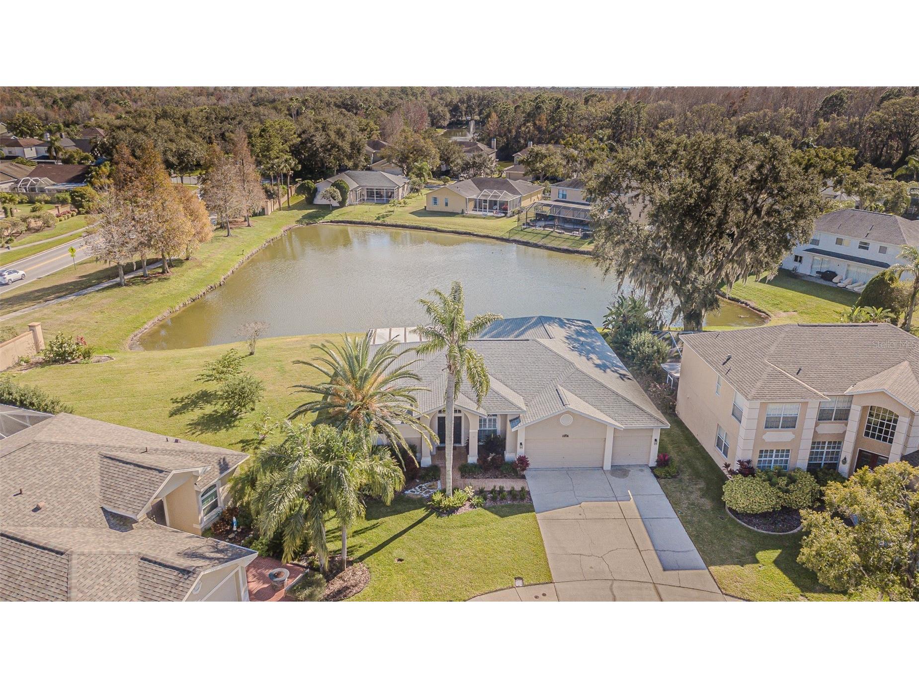 27226 Sea Breeze Way Wesley Chapel FL 33544 TB8511815 image23