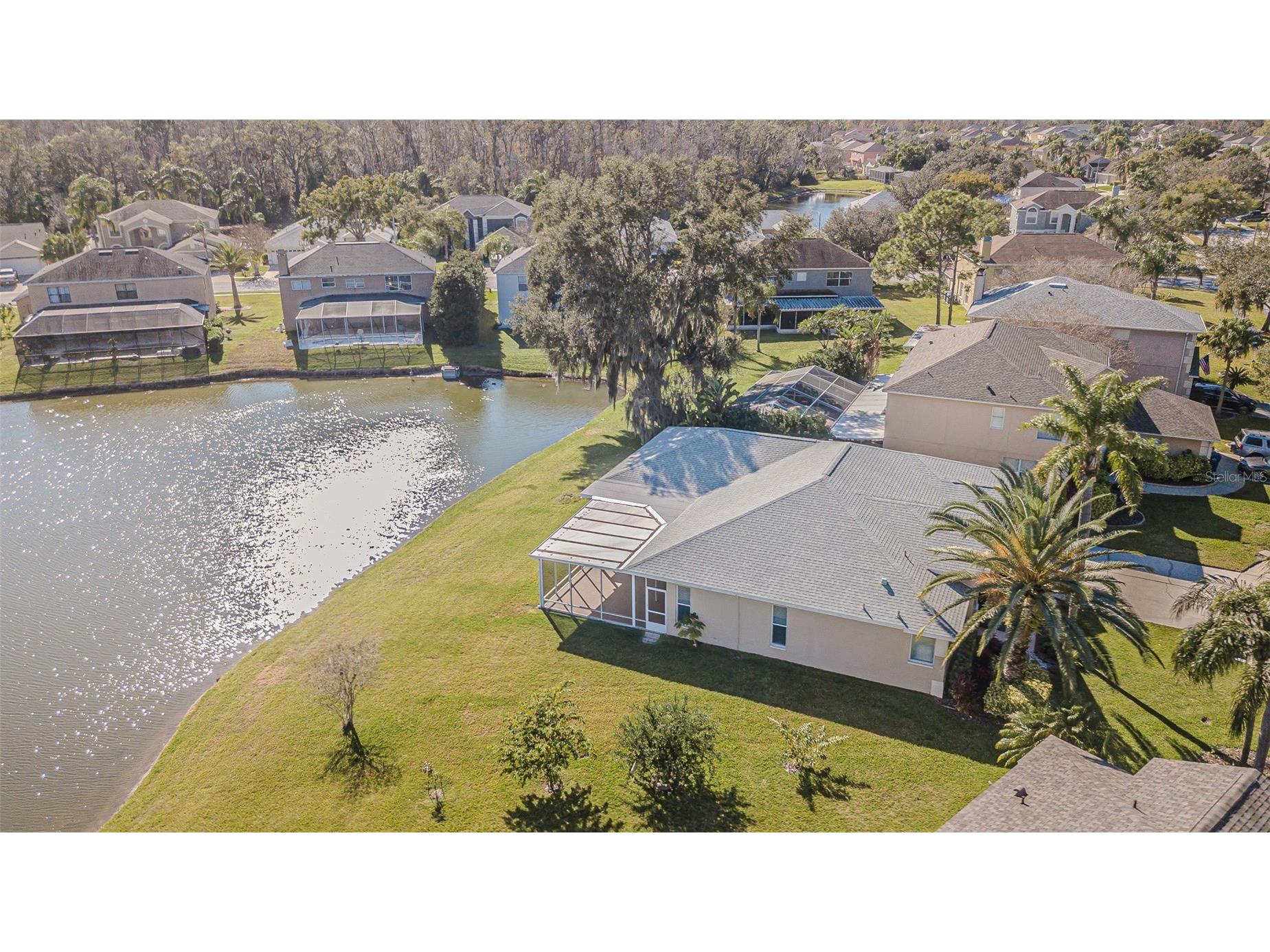 27226 Sea Breeze Way Wesley Chapel FL 33544 TB8511815 image43