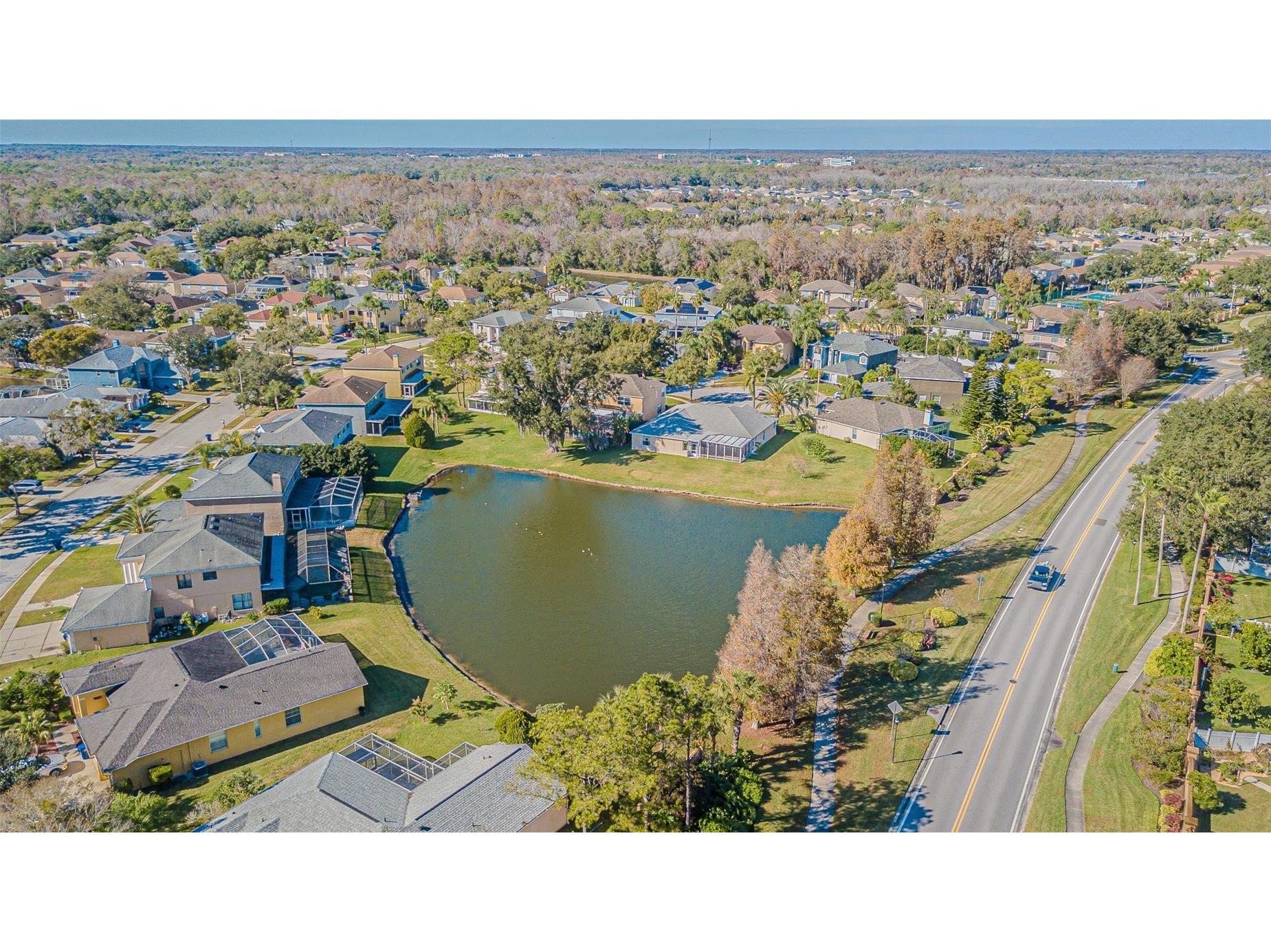 27226 Sea Breeze Way Wesley Chapel FL 33544 TB8511815 image48