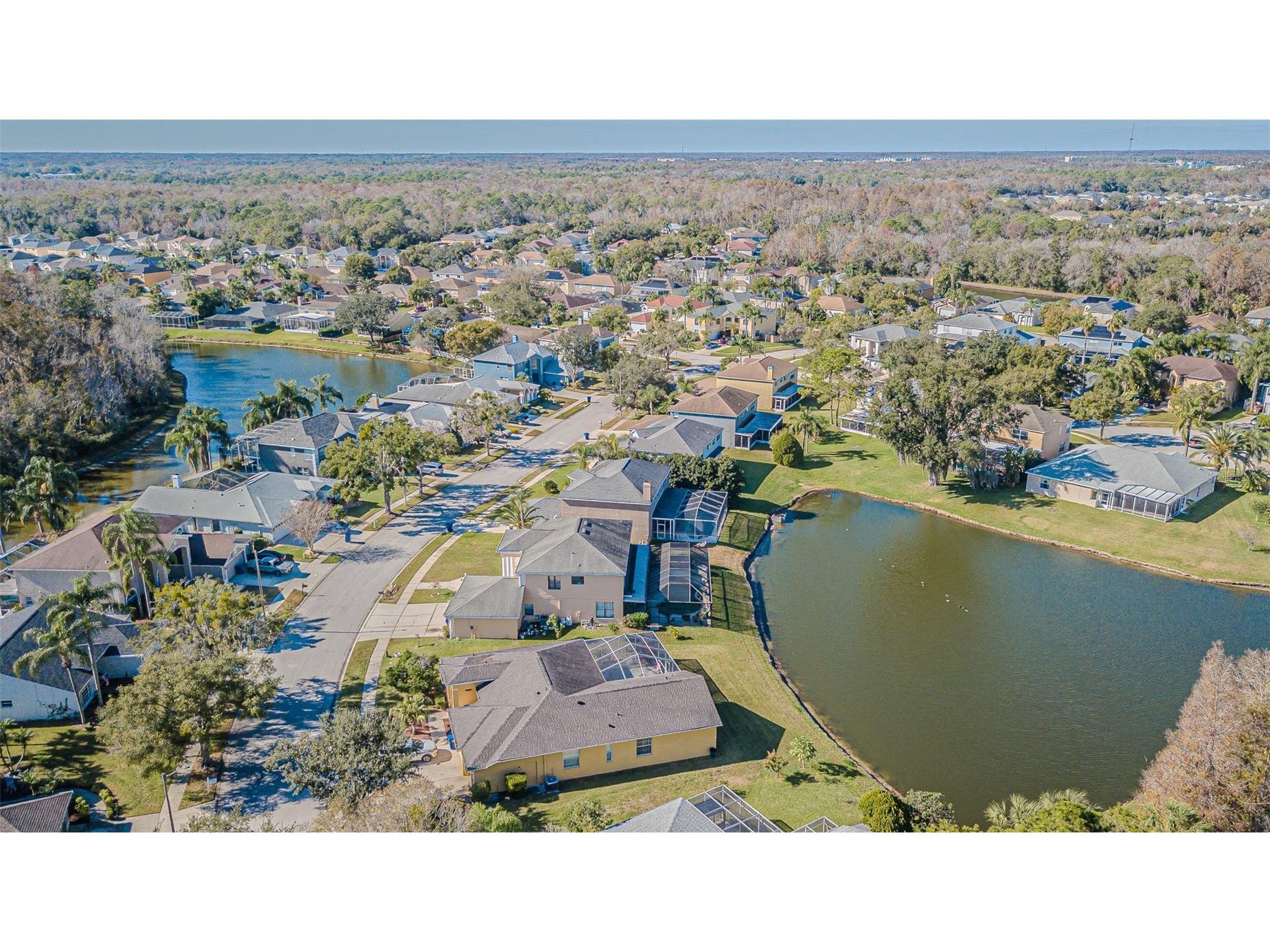 27226 Sea Breeze Way Wesley Chapel FL 33544 TB8511815 image49
