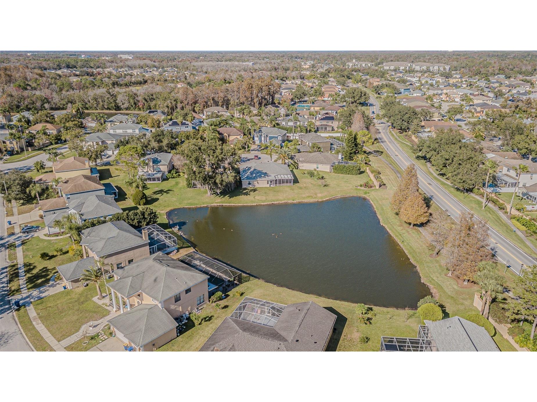 27226 Sea Breeze Way Wesley Chapel FL 33544 TB8511815 image50