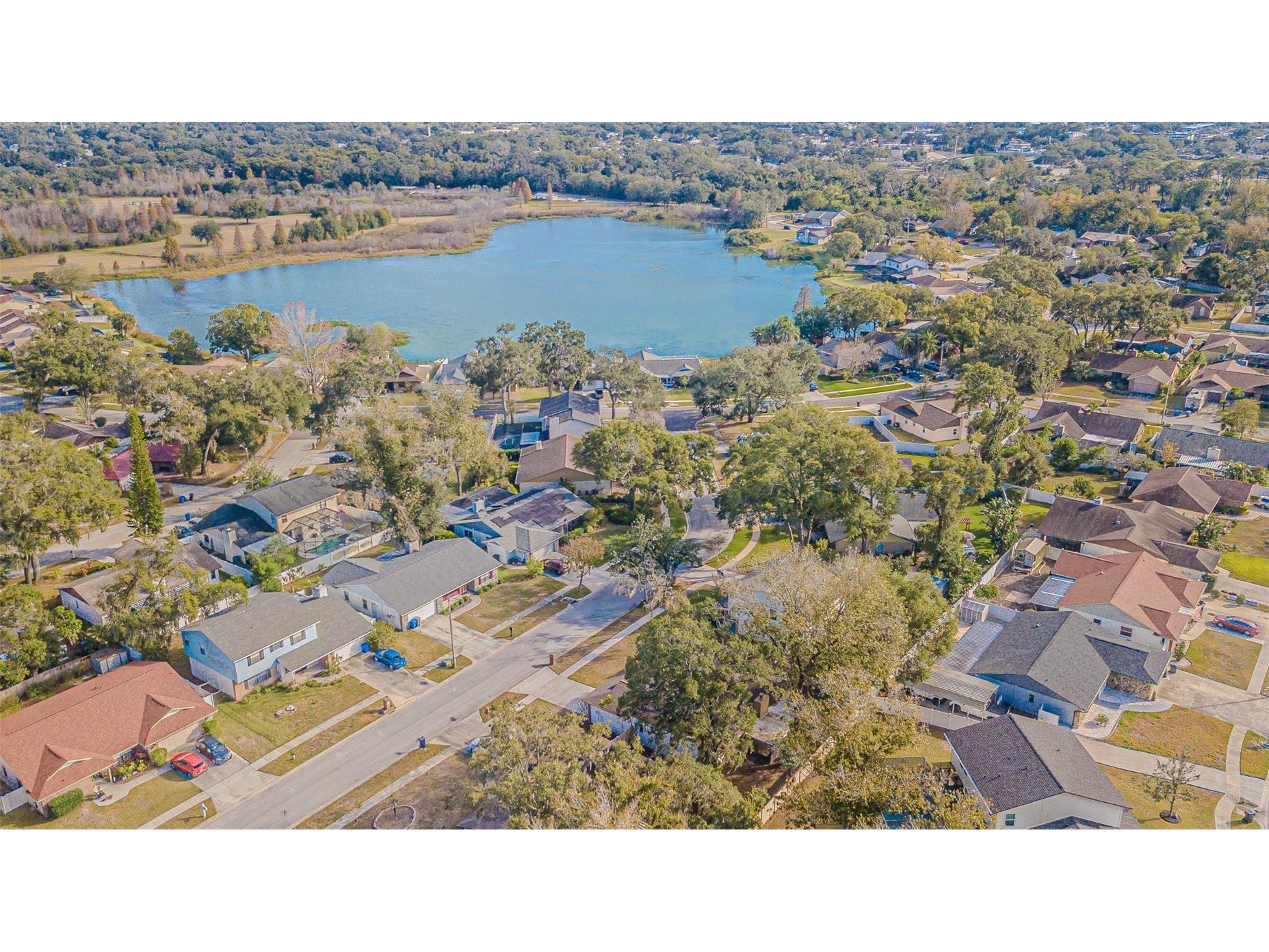 27226 Sea Breeze Way Wesley Chapel FL 33544 TB8511815 image53