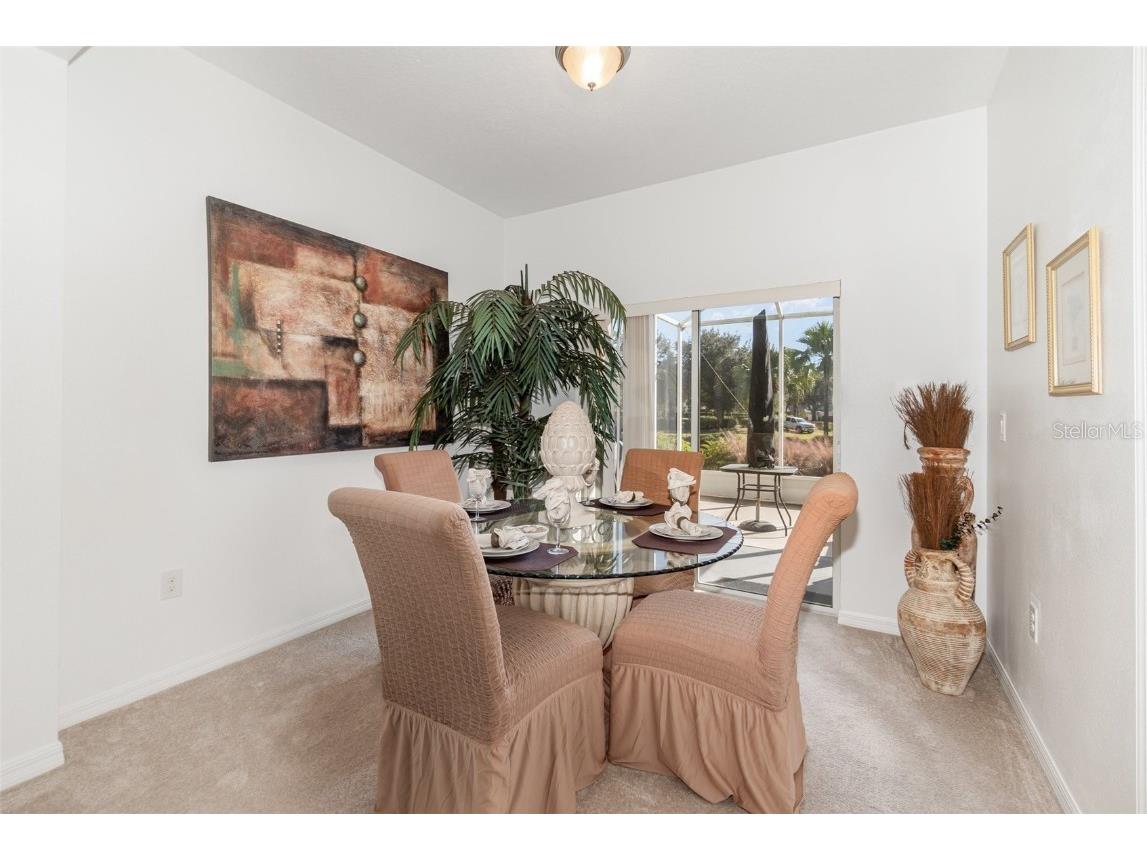 27227 White Plains Way Leesburg FL 34748 O6356147 image11