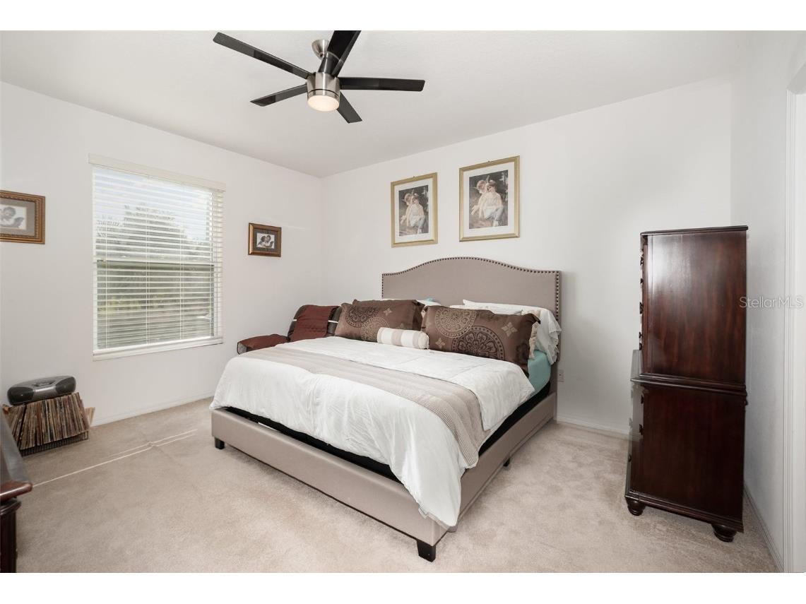 27227 White Plains Way Leesburg FL 34748 O6356147 image17