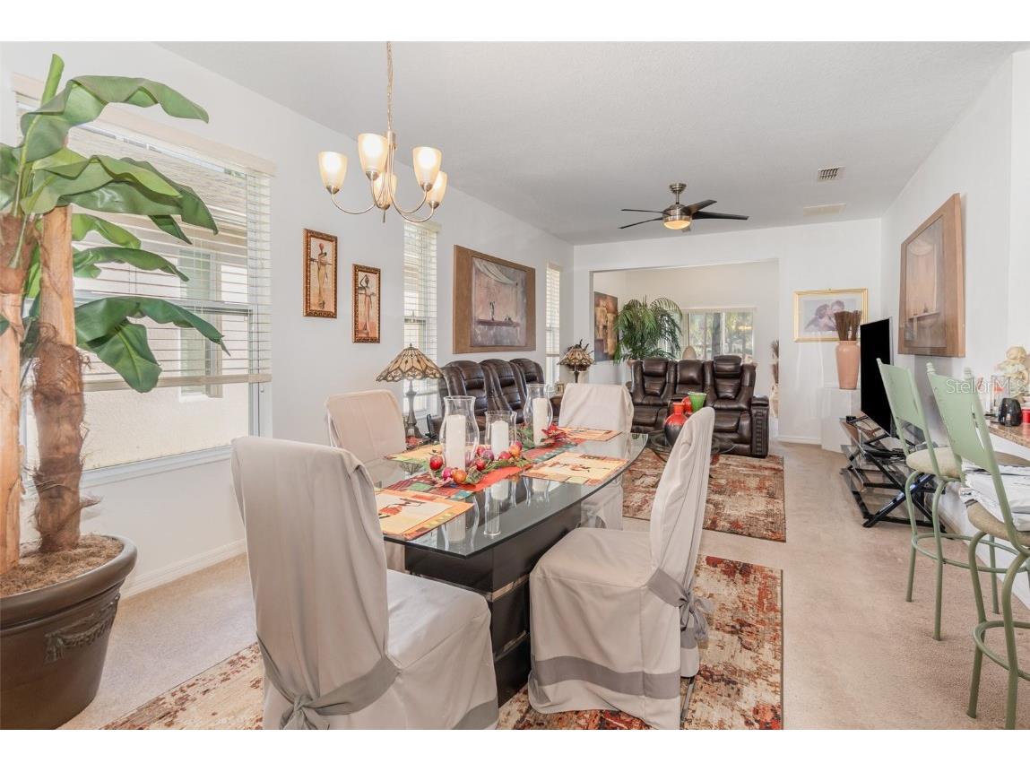 27227 White Plains Way Leesburg FL 34748 O6356147 image7