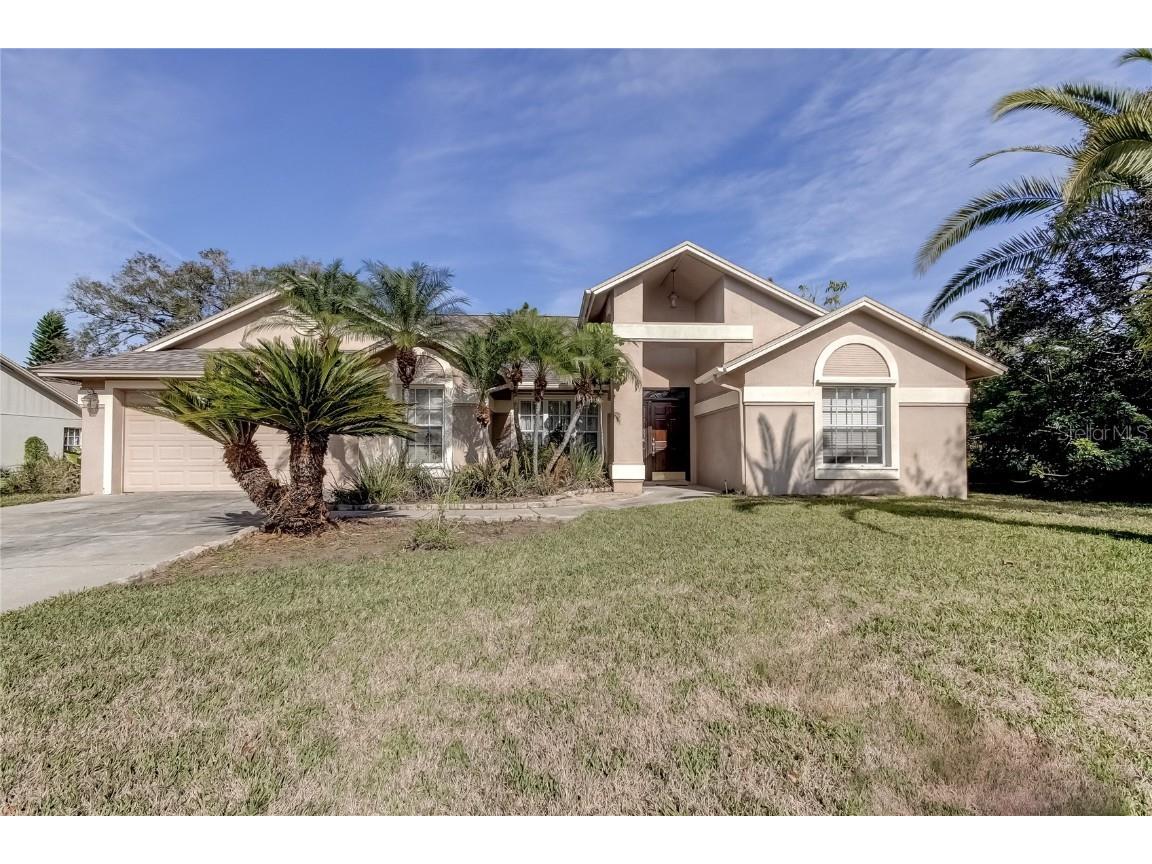 2723 Buckhorn Oaks Drive Valrico FL 33594 T3424211 image1