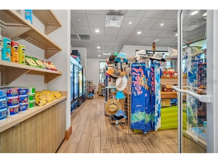 2723 Roadster Ln Kissimmee FL 34746 TB8419980 image40