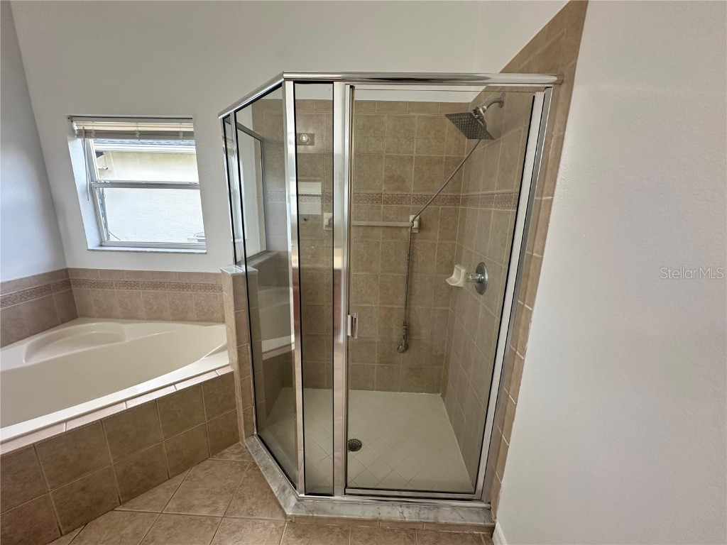 2723 Star Grass Circle Kissimmee FL 34746 S5128811 image17