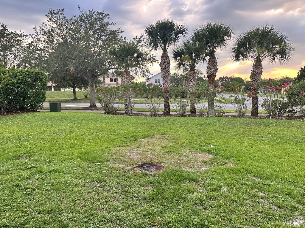 2723 Star Grass Circle Kissimmee FL 34746 S5128811 image19