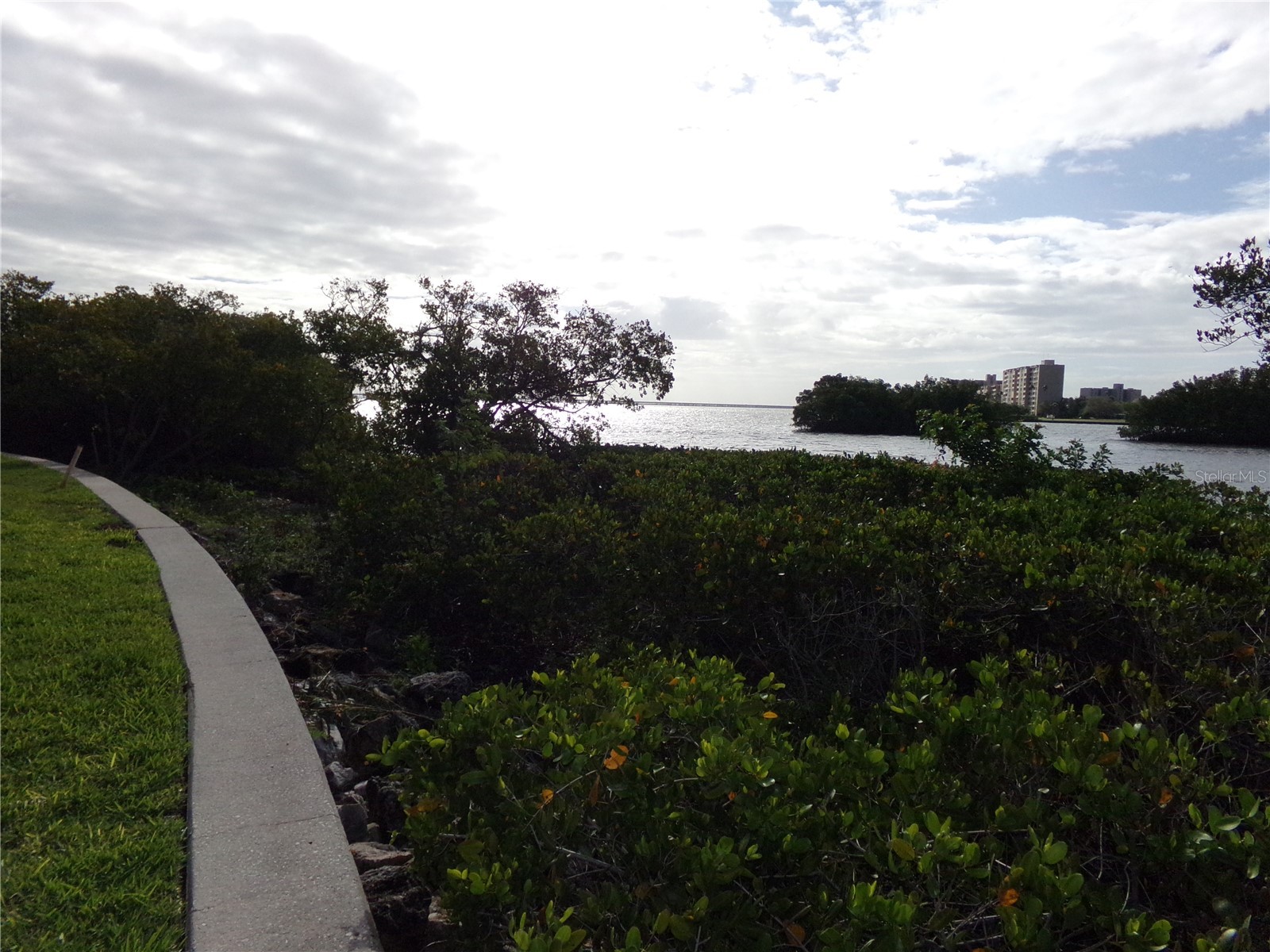 2723 Via Capri #821 Clearwater FL 33764 TB8493693 image30