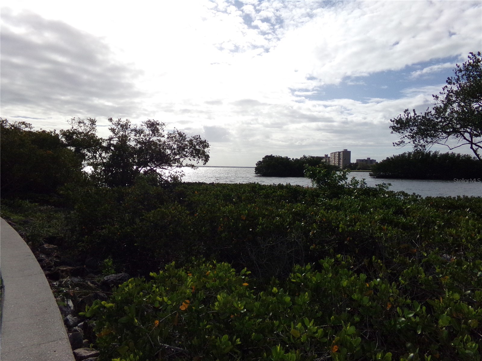2723 Via Capri #821 Clearwater FL 33764 TB8493693 image38