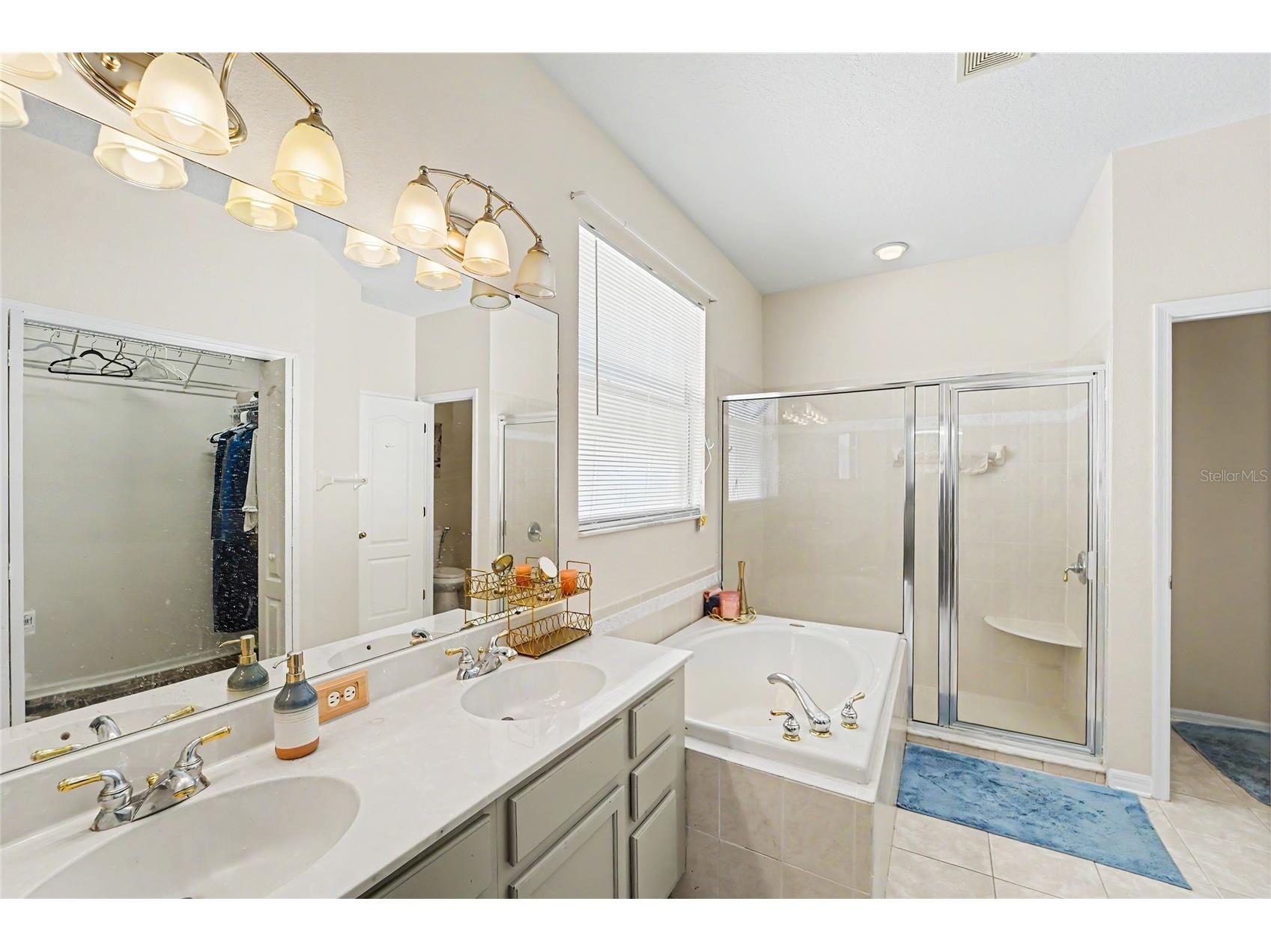 27236 Hollybrook Trail Wesley Chapel FL 33544 TB8522497 image9