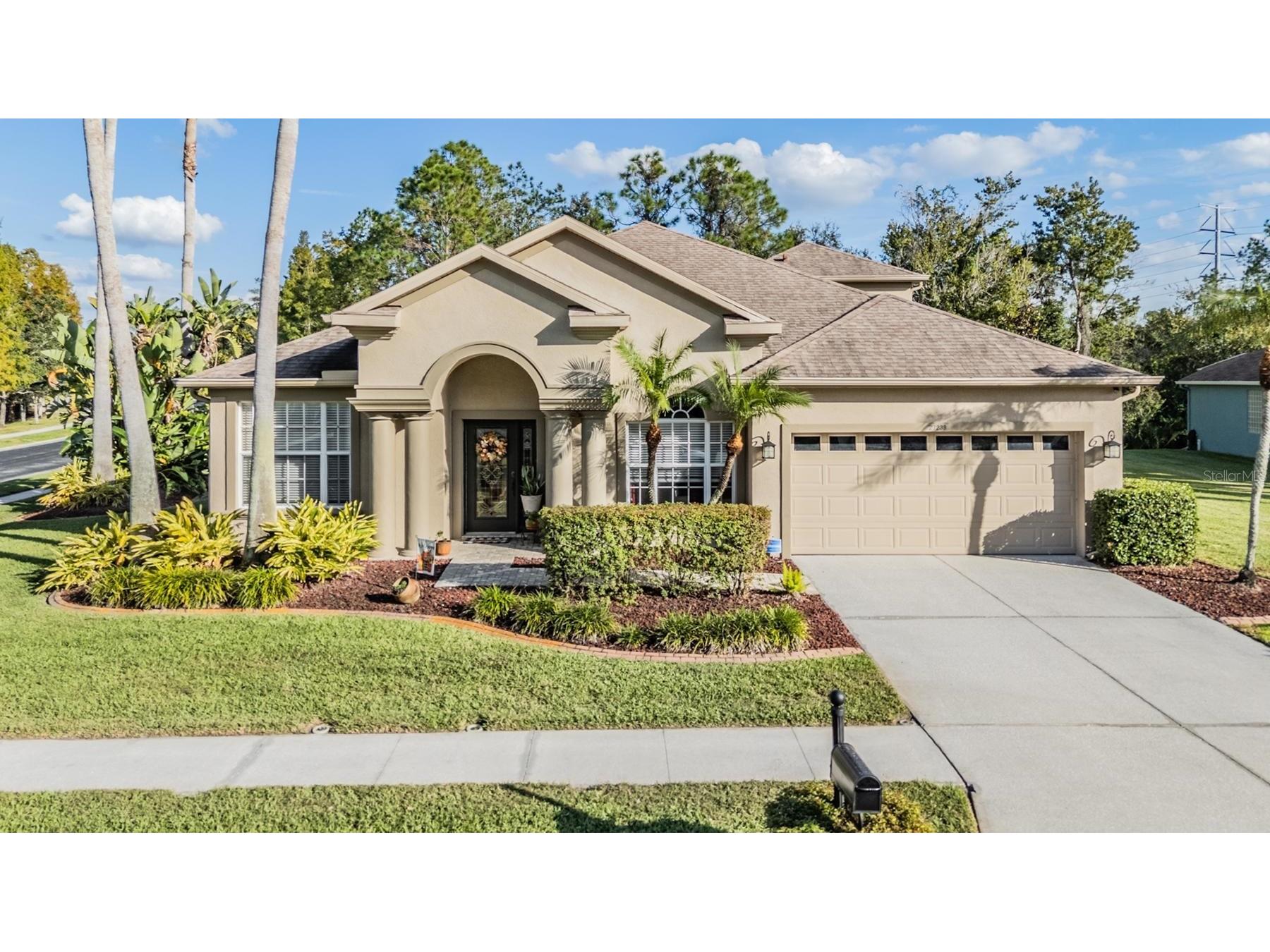 27239 Firebush Drive Wesley Chapel FL 33544 TB8445987 image1