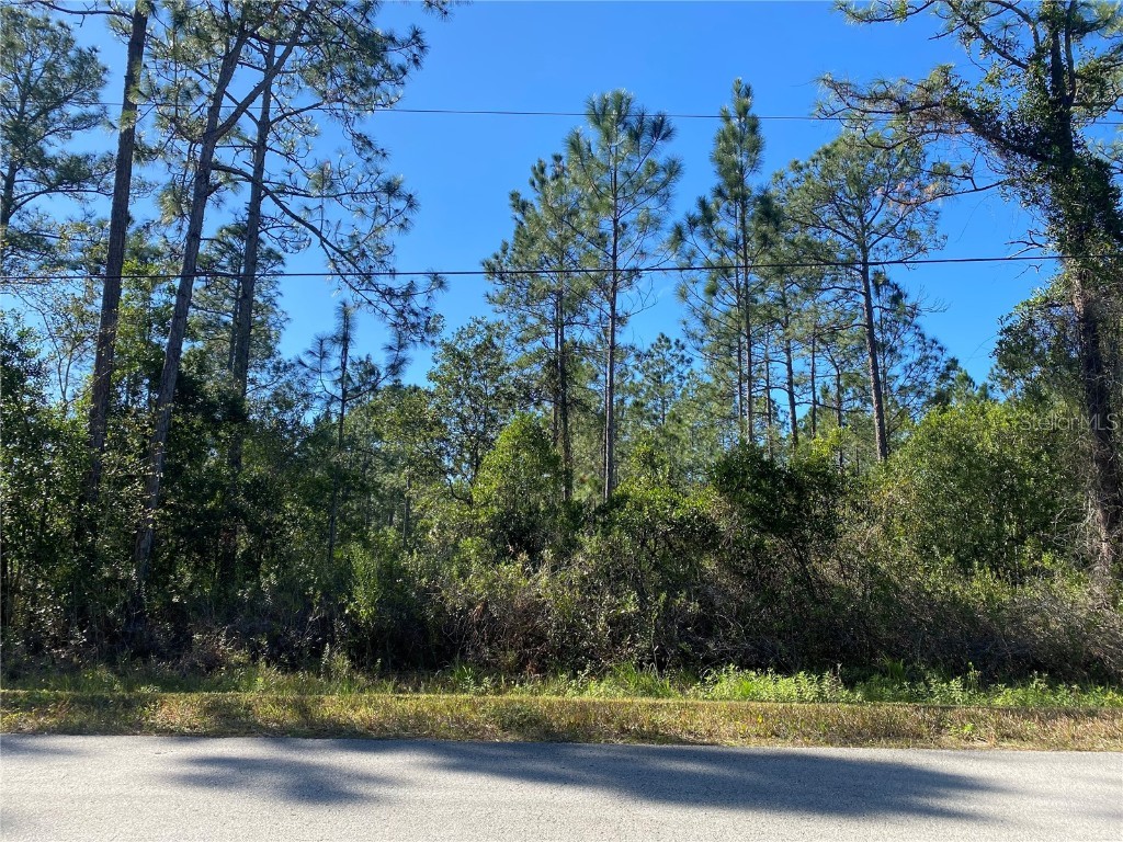 2724 Lancewood Street Bunnell FL 32110 FC298361 image1