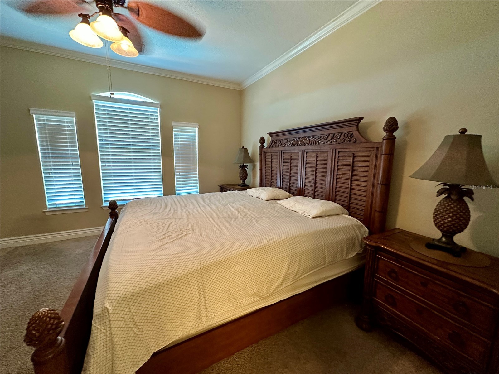 2724 Via Murano #638 Clearwater FL 33764 - TAMPA BAY TB8491178 image19