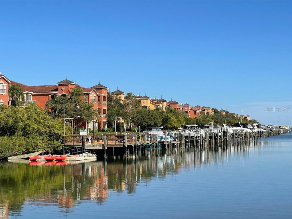 2724 Via Murano #639 Clearwater FL 33764 TB8395863 image12