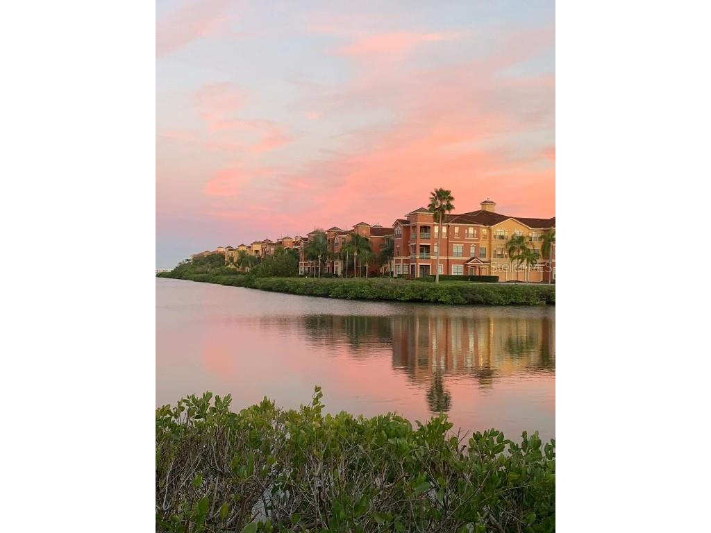 2724 Via Murano #639 Clearwater FL 33764 TB8395863 image14