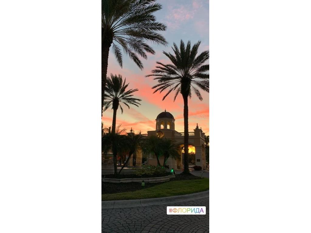 2724 Via Murano #639 Clearwater FL 33764 TB8395863 image16