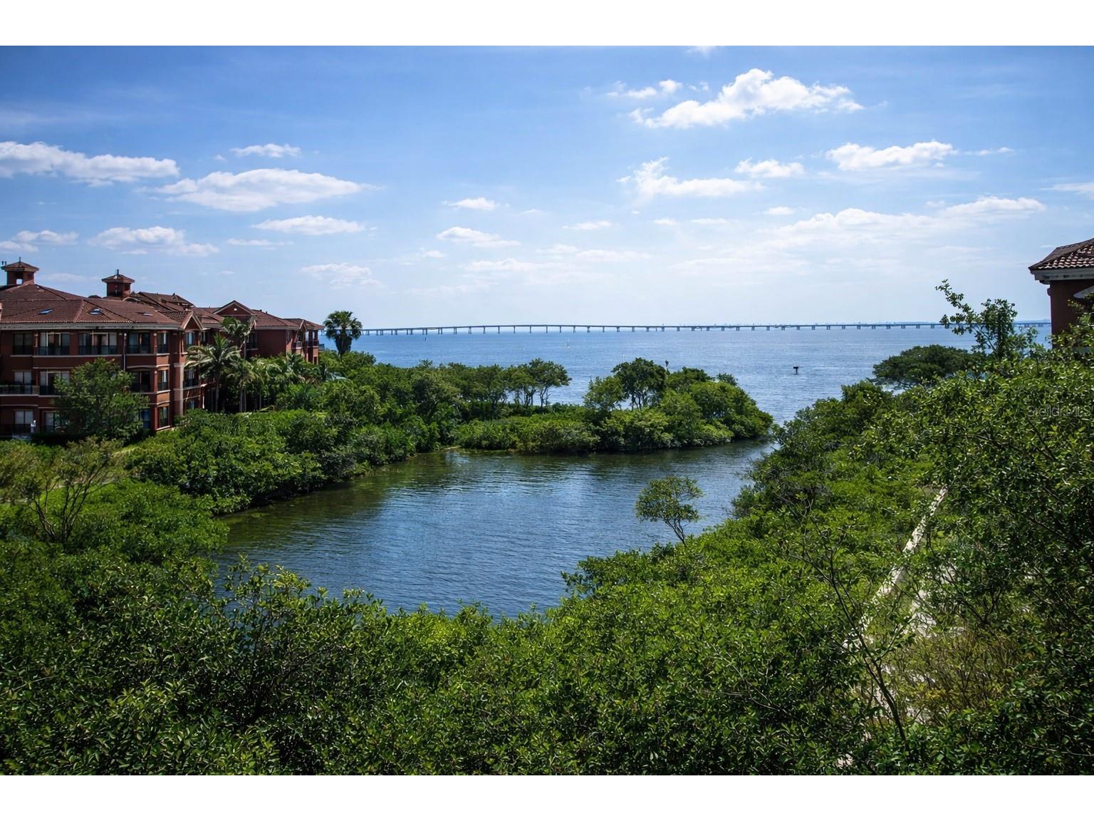 2724 Via Murano #639 Clearwater FL 33764 TB8475988 image1