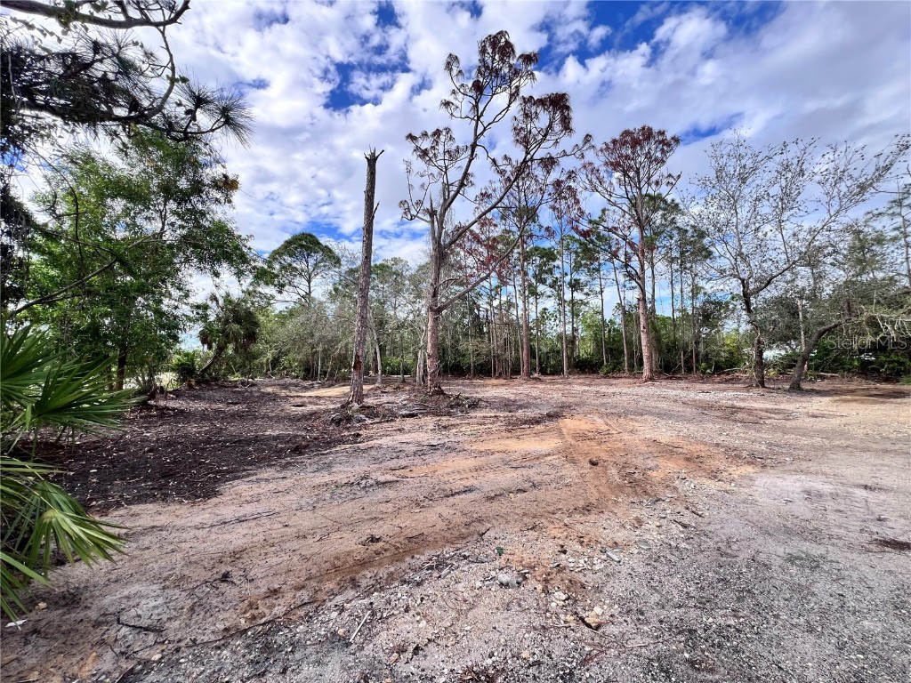 27240 Tribune Boulevard Punta Gorda FL 33955 C7513021 image23