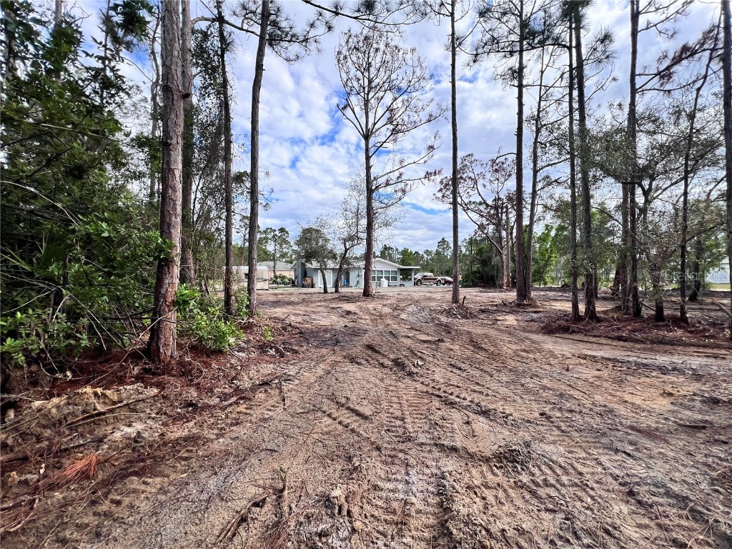 27240 Tribune Boulevard Punta Gorda FL 33955 C7513021 image26