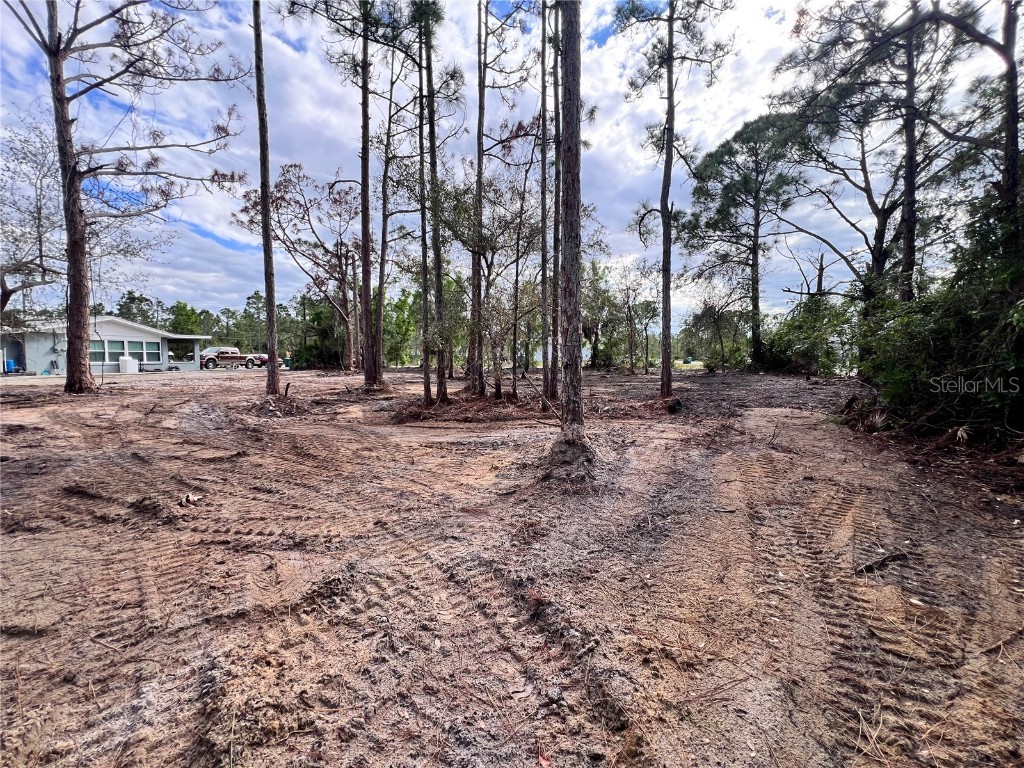 27240 Tribune Boulevard Punta Gorda FL 33955 C7513021 image27