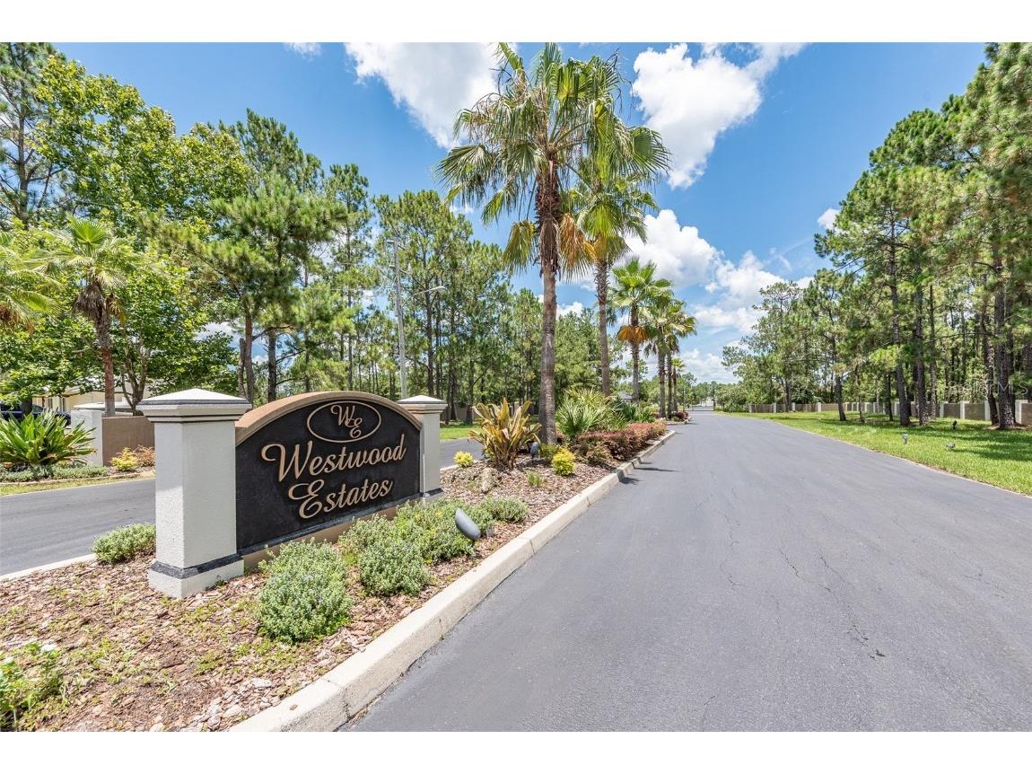 27242 Elkwood Circle Wesley Chapel FL 33544 T3355763 image1