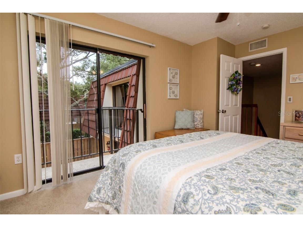 2725 11th Court Palm Harbor FL 34684 TB8389451 image14