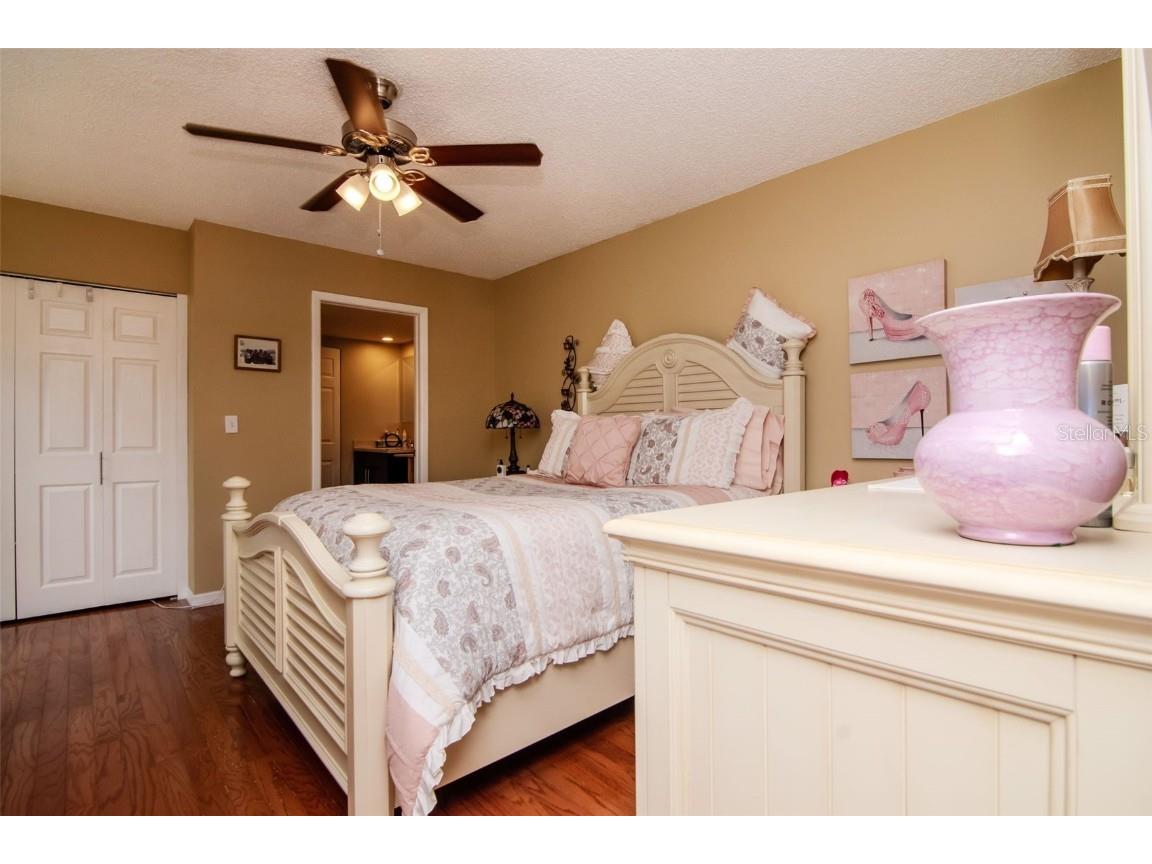 2725 11th Court Palm Harbor FL 34684 TB8389451 image16