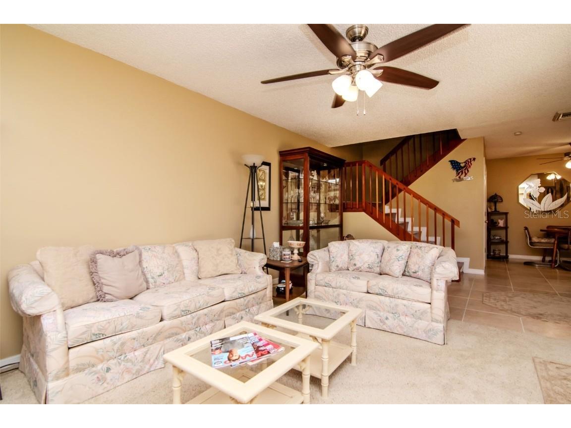 2725 11th Court Palm Harbor FL 34684 TB8389451 image5