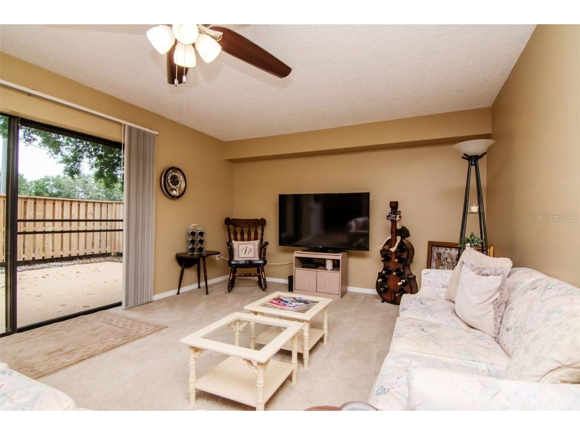 2725 11th Court Palm Harbor FL 34684 TB8389451 image6