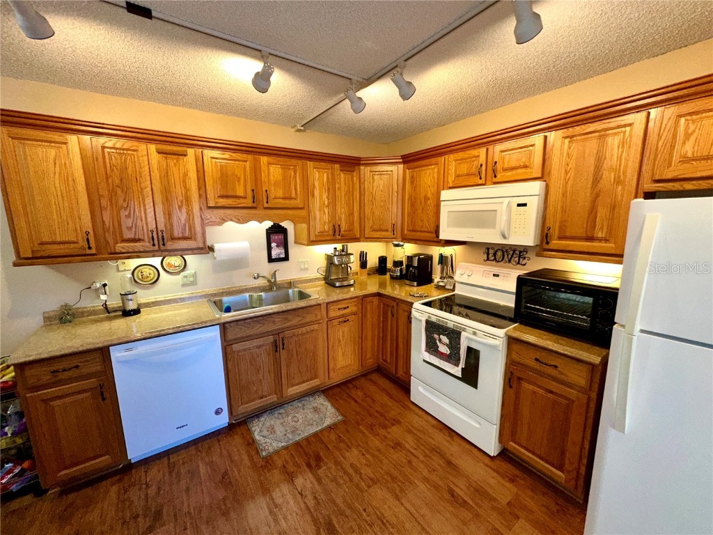 2725 14th Court Palm Harbor FL 34684 TB8436271 image13