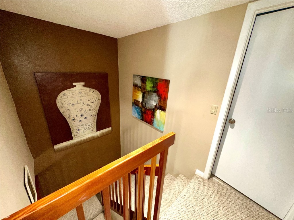 2725 14th Court Palm Harbor FL 34684 TB8436271 image14