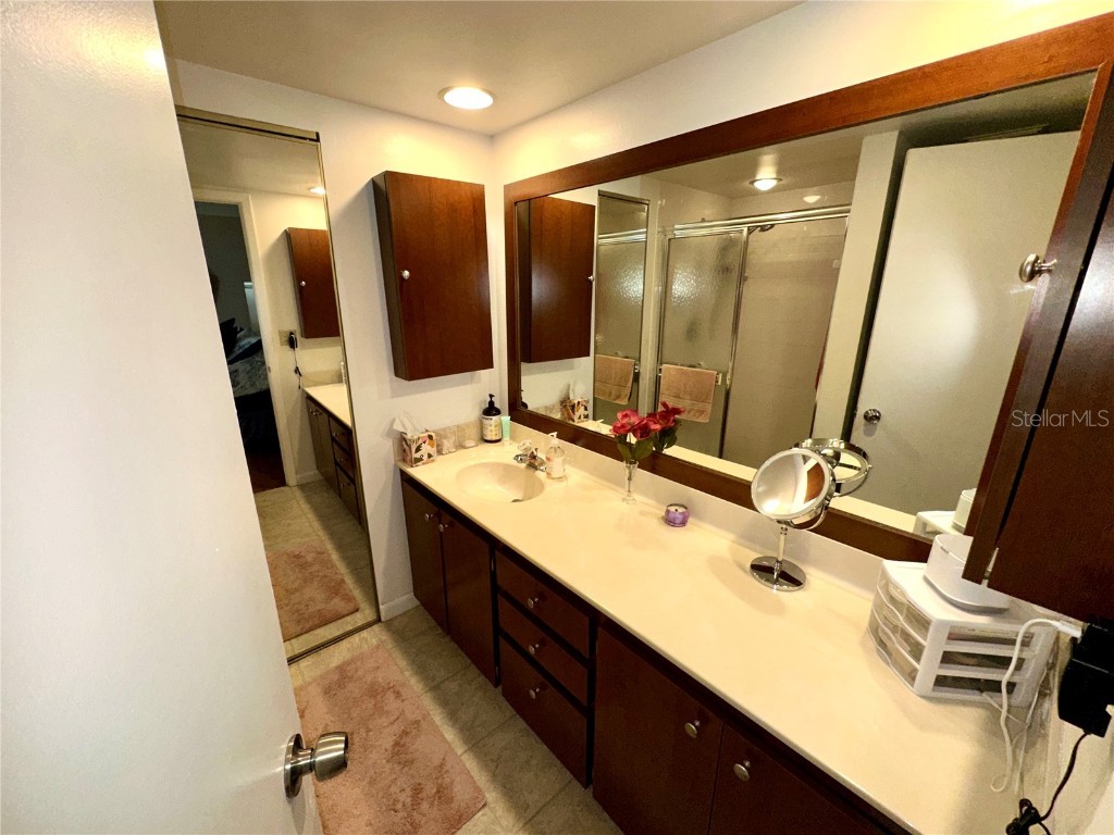 2725 14th Court Palm Harbor FL 34684 TB8436271 image19