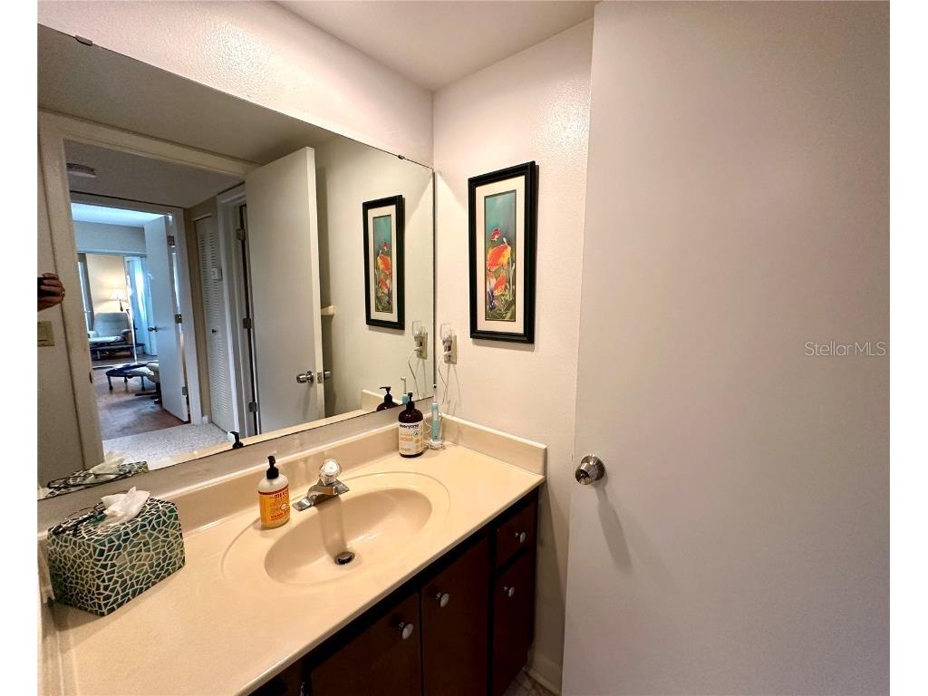 2725 14th Court Palm Harbor FL 34684 TB8436271 image20