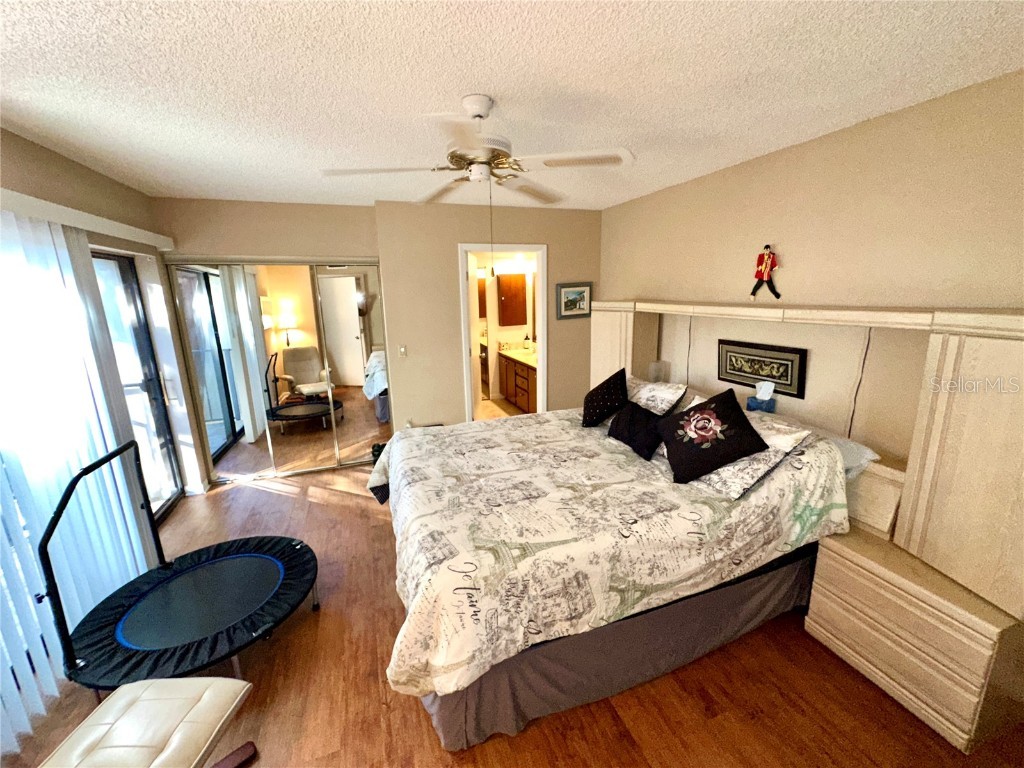 2725 14th Court Palm Harbor FL 34684 TB8436271 image28