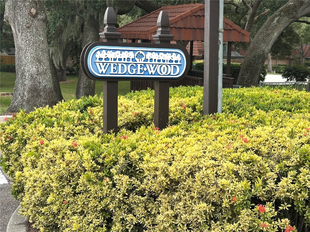 2725 14th Court Palm Harbor FL 34684 TB8436271 image46