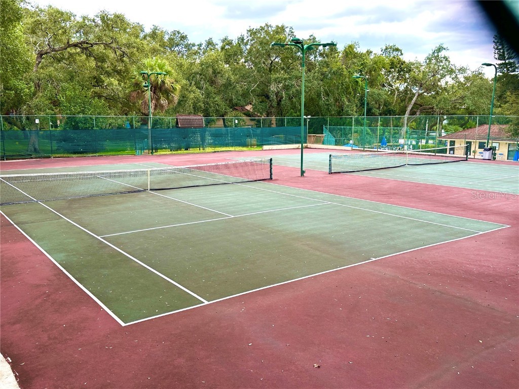 2725 14th Court Palm Harbor FL 34684 TB8436271 image48