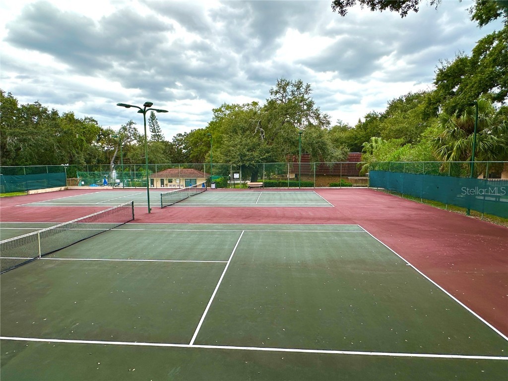 2725 14th Court Palm Harbor FL 34684 TB8436271 image49