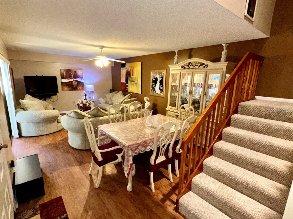 2725 14th Court Palm Harbor FL 34684 TB8436271 image5