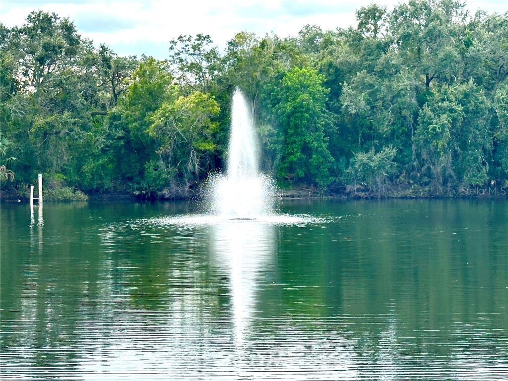 2725 14th Court Palm Harbor FL 34684 TB8436271 image50