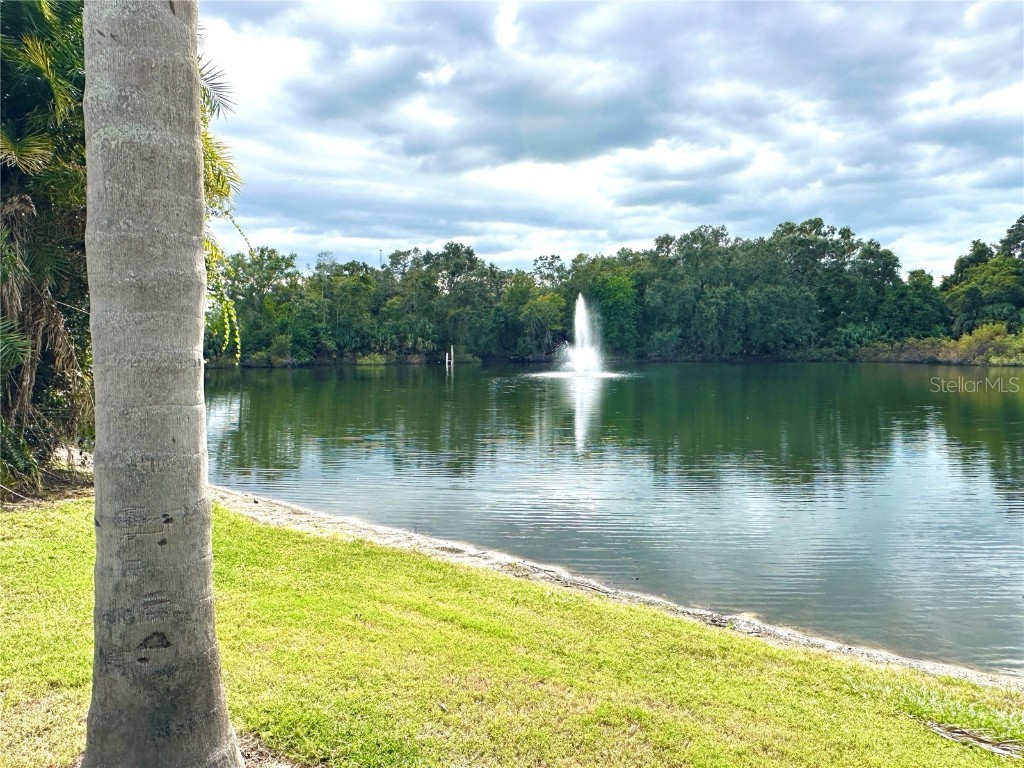 2725 14th Court Palm Harbor FL 34684 TB8436271 image51