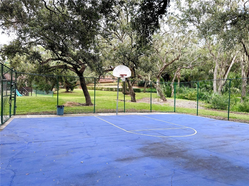 2725 14th Court Palm Harbor FL 34684 TB8436271 image53