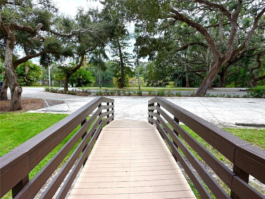 2725 14th Court Palm Harbor FL 34684 TB8436271 image54