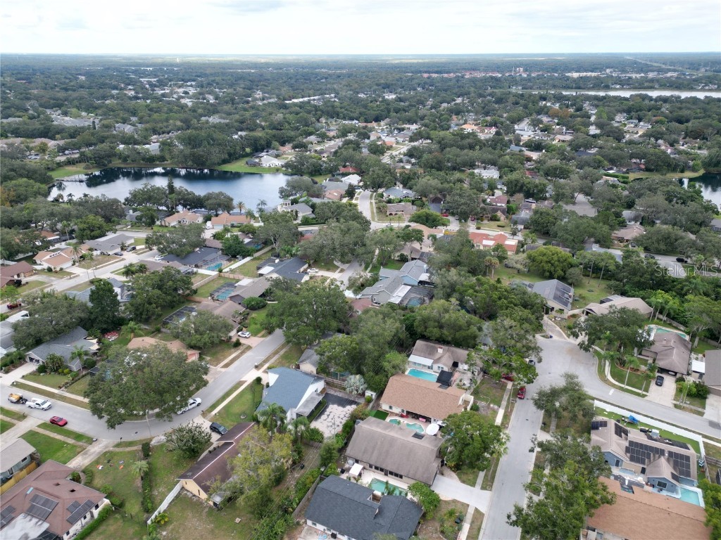 2725 14th Court Palm Harbor FL 34684 TB8436271 image57