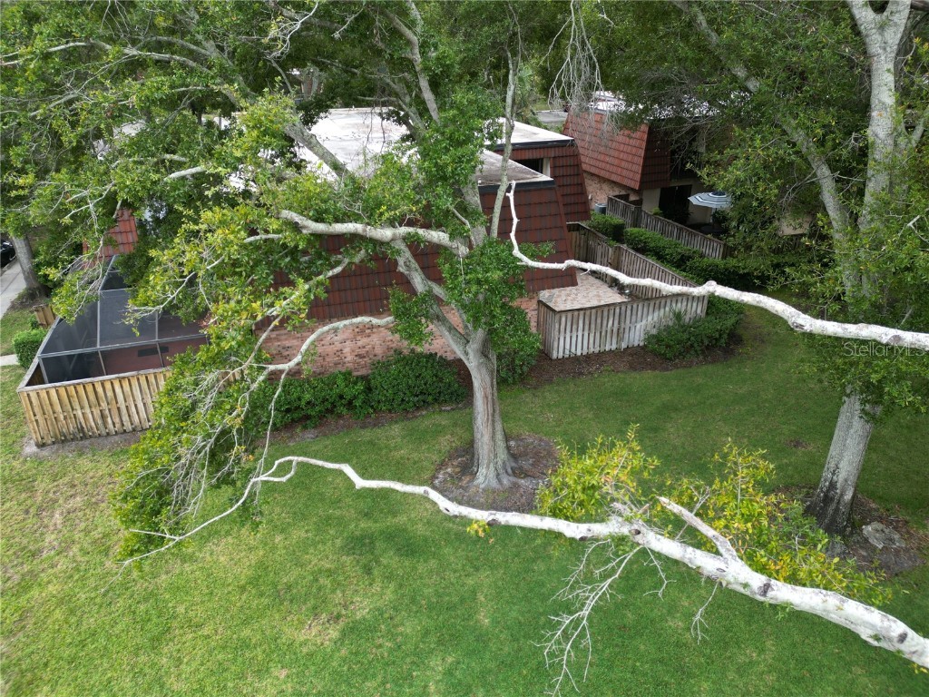 2725 14th Court Palm Harbor FL 34684 TB8436271 image58